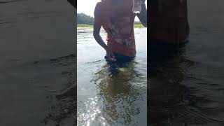 Viral fishing video Viral hook fishing shortsvideo shorts fish [upl. by Eerpud]