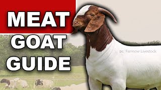 MEAT GOAT FARMING FOR BEGINNERS  Ranching for Profit Grazing How to Raise Goats on Pasture [upl. by Naanac795]