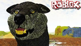 Vivendo Como Um Lobo  Survival PreAlpha quotRobloxquot GameplayPTBR [upl. by Ohploda]