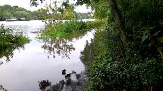 Richmond Thames path flooded Part 3 [upl. by Jakoba433]