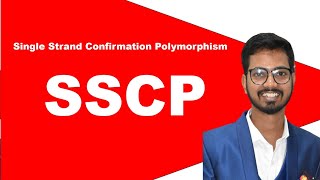 Single Strand Conformation Polymorphism  SSCP  SSCP Marker [upl. by Sacttler]