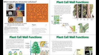 Plant Physiology Cell Wall Structure Formation and Expansion [upl. by Sirron477]