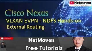 3 Nexus VXLAN EVPN NDFC Handson  External Routing [upl. by Eilla]