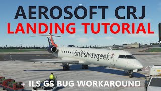 MSFS 2020  AEROSOFT CRJ LANDING TUTORIALS ILS into Hamburg with GS Bug Workaround Tips [upl. by Jilli117]