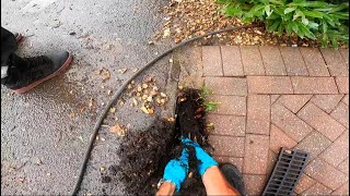 8ft Drain Snake Caught Bare Handed amp The Binmen CRASH Into ME [upl. by Candless]