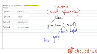 Which of the following is a parthenocarpic fruit [upl. by Egroj]