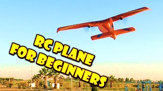 Budget RC Plane for Newbies  Z50 Remote Control Aircraft [upl. by Noiraa262]