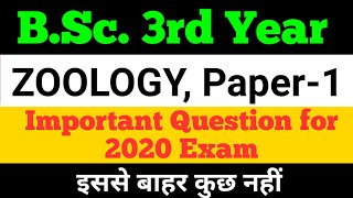 BSc 3rd year Zoology Paper  1 Important question for exam [upl. by Raddi86]