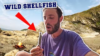 I forage for shellfish and become embroiled in a village dispute Cornwall Tenner 2 [upl. by Swayder325]