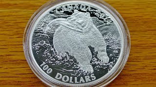 Grizzly Bear Silver Dollar [upl. by Bunni]