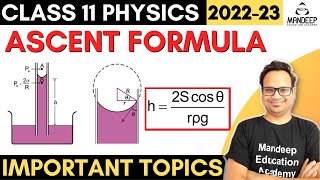 Ascent Formula Class 11 Physics Important Derivations [upl. by Goer]