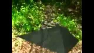 Obelisk UFO was filmed hovering in the forest Location and date unknown [upl. by Anagrom]