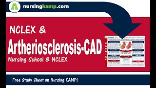 Cardiac Lecture 22 Nursing KAMPs Scribble Notes CAD Cardiovascular Disease Atherosclerosis NVC22 [upl. by Eedna106]