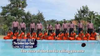 The Golden Gate Choir  Ntume Ani [upl. by Aremat549]