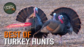 50 Gobblers in 9 Minutes ULTIMATE Turkey Hunting Compilation  BEST OF [upl. by Nauq]