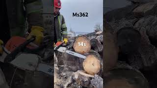 Stihl Ms362 VS 036 Pro 🪓🔥🪓 chainsawman oregon chainsaw power saw oldschool newschool [upl. by Ydieh744]