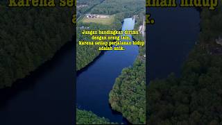 NICE SHOT DRONE VIEW NATURE [upl. by Venator]