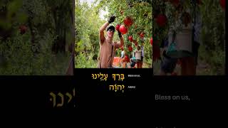 Food 9th Amidah Blessing  Birkas HaShanim ברכת השנים [upl. by Mitman501]