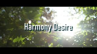 Fabbro  Harmony Desire  Ambient  Chillout fabbro harmony desire [upl. by Bonaparte]