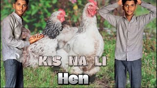 Kis Na la liðŸ«´ chor kha giaðŸ¥¹  Golo Na kia Dikha DiaðŸ˜‚ [upl. by Nylhsoj]