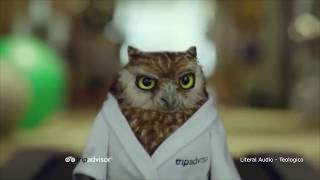 Tripadvisor Owl  Literal Audio [upl. by Ailedo38]