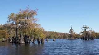 Dead Lakes  Wewahitchka Florida [upl. by Niwrud]