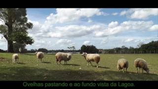 4 Hectares Mini Fazenda Àguas Claras Viamão [upl. by Holsworth]