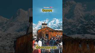 Kedarnath mein bhole Baba ke darshan shorts youtubeshorts ytshorts [upl. by Janka]