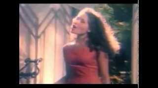 Christopher Cross  I Will Take You Forever ft Frances Ruffelle [upl. by Mintz452]