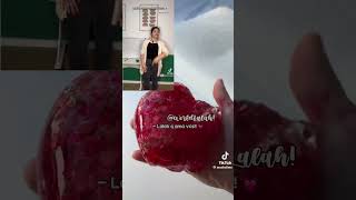 music song pop lyrics cover slime vem6k amovcs foryou jesus shorts viralvideo fyp [upl. by Elaine]