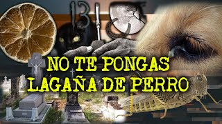 SUPERSTICIONES DE LOS PUEBLOS MEXICANOS PARTE 3 FTEckosDeUltratumba [upl. by Ahseken]