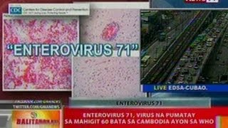 BT Enterovirus 71 virus na pumatay sa mahigit 60 bata sa Cambodia ayon sa WHO [upl. by Bullock618]