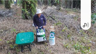 Mari membaja Kebun Kelapa Sawit dengan MPOB F5 Super [upl. by Natsirc]