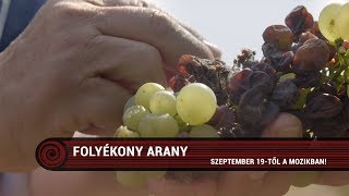 Folyékony arany KN előzetes [upl. by Girard]