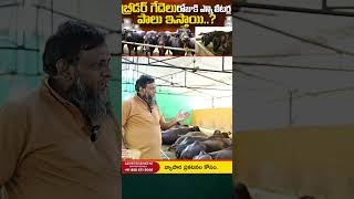 karshakavanivideos farming dairyfarmingtelugu dairycalves dairyfarm [upl. by Lekram]