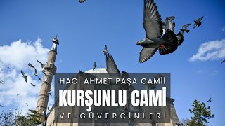 KurÅŸunlu Cami ve GÃ¼vercinleri [upl. by Suiram964]