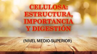 CELULOSA ESTRUCTURA IMPORTANCIA Y DIGESTIÓN [upl. by Aztiram]