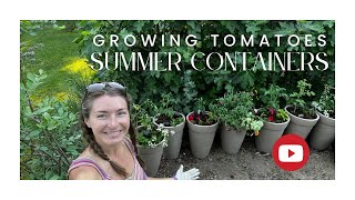 Summer Tomato Container Gardens [upl. by Iinde722]