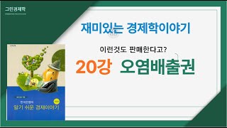 재미있는 경제학이야기 20강 환경문제의 해결방법 오염배출권pollution permits [upl. by Hancock]