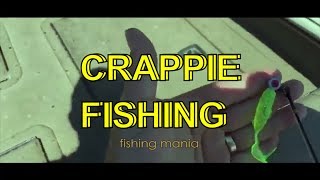 Crappie Fishing With Go Go Minnows [upl. by Iago]