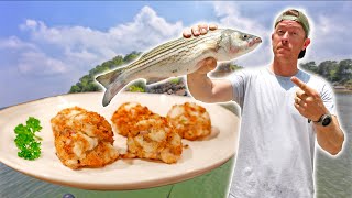 Striped Bass Catch Clean amp Cook Fish Cakes Recipe [upl. by Beatrisa597]