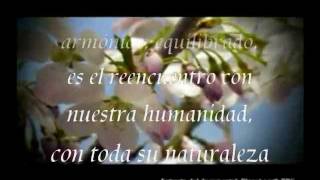 Enigma Return To Innocence Lyrics subtitulado  Retorno a la Inocencia [upl. by Akimehs]