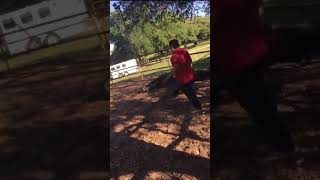 Angry Horse Kills Another Horse With A Kick To The Head shorts [upl. by Bowers]