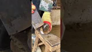 tiktok viral foryou farrier farrierlife farriersoftiktok horse hoof hoofcare satisfying [upl. by Tai579]