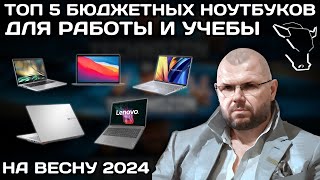 ТОП 5 БЮДЖЕТНЫХ НОУТБУКОВ ДЛЯ РАБОТЫ И УЧЕБЫ В 2024 ГОДУ ПО ВЕРСИИ TECHNOZON [upl. by Bonne]