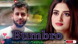 BumbrooNew Kashmiri Sad Song Status shorts trendingshorts kashmiri shortfeed viral 2million [upl. by Mil]