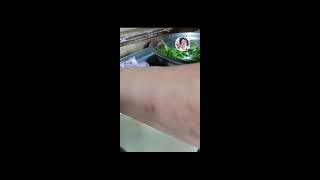 Shie Vlog Snp is live cookingforlunchfood [upl. by Qifahs308]