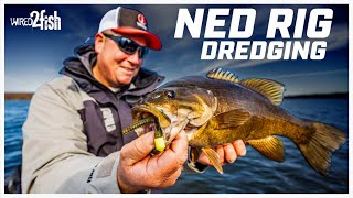 Fall Ned Rig Tactics for Deep Water Smallmouth Bass [upl. by Tychon]