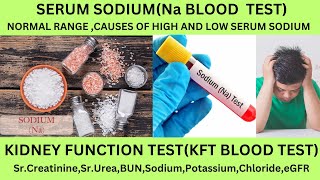 SERUM SODIUM TESTSERUM ELECTROLYTES TEST NORMAL RANGESCAUSES OF HIGH AND LOW SODIUMSYMPTOMS [upl. by Akialam]