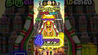 நினைத்தாலே முக்தி தரும் திருவண்ணாமலை சிறப்புகள் tiruvannamalai shorts sivan rasi tamil chennai [upl. by Hatch466]